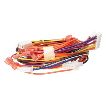 Rheem 45-42522-169 Wiring Harness