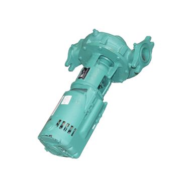 Raypak 011846F Circulator Pump 115V Inline