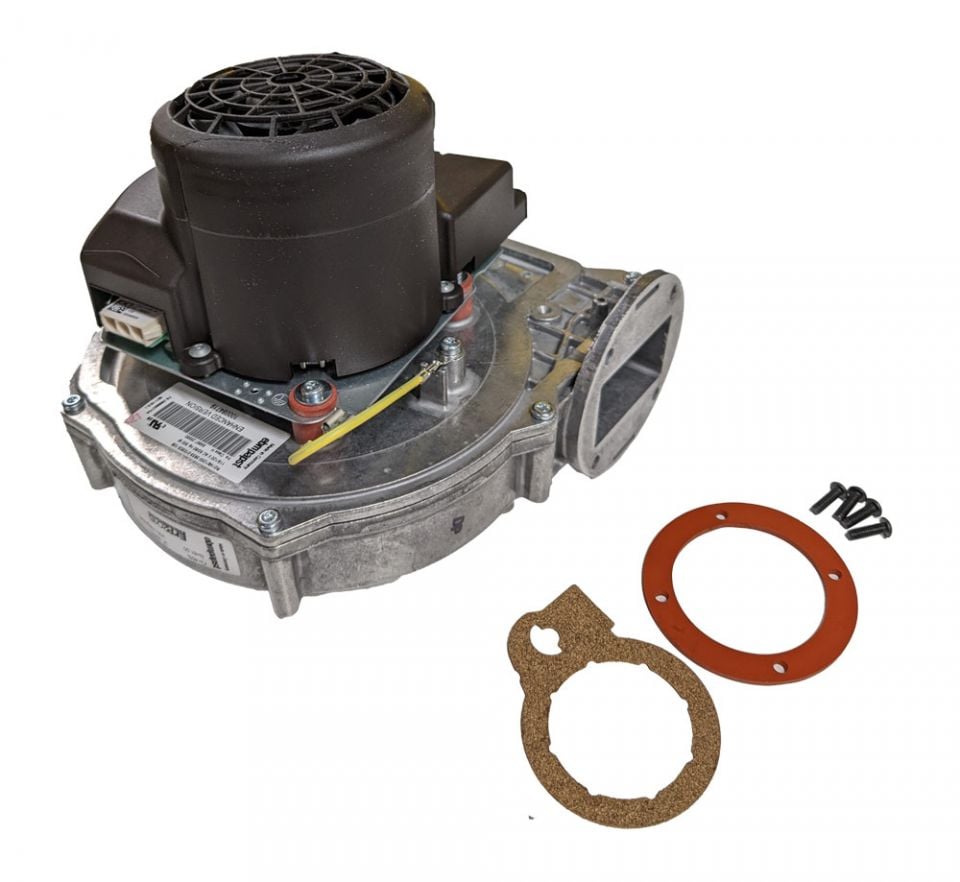 Amazon.com: DTA 40465 Shocks Struts Without Springs Full Set