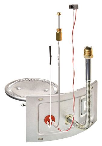 Supplies Depot: Rheem AM46739 Burner Assembly