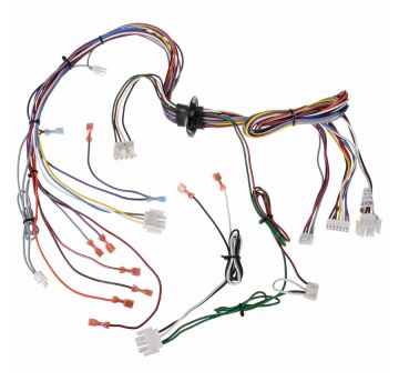 Rheem 45-104202-01 Wiring Harness Assembly