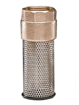 Flomatic 4105E 2 inch Foot Valve