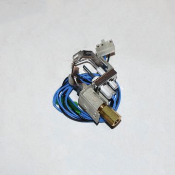 ICP 1149856 Pilot Assembly with Flame Rod