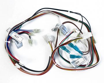 Navien 30003025A Wiring Harness - Low Voltage