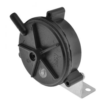 Rheem SP11875 Vacuum Switch