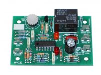 Raypak 005555F Fast Response Sensor with Probe
