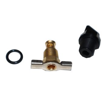 Raypak 006721F Drain Plug Kit
