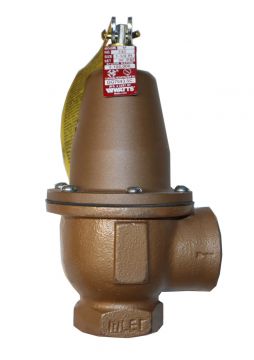 Raypak 007748F Pressure Relief Valve 3/4 inch 30 PSI