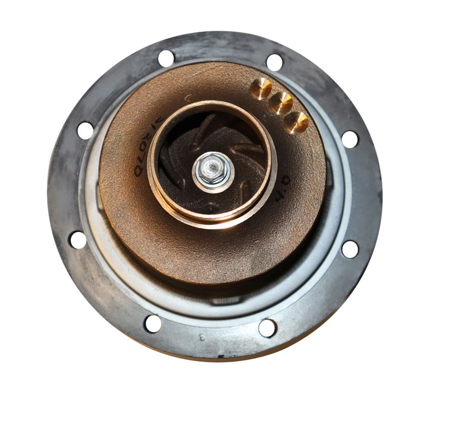 Raypak 009296F Pump without Volute 115V 4.0