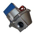 Raypak 600631 Gas Valve 24V 1 inch NG Natural Gas