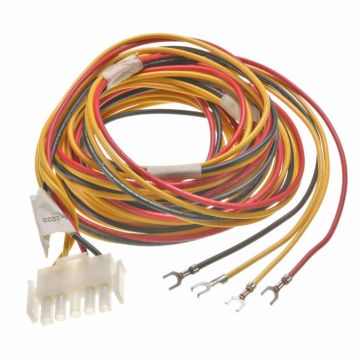 Rheem 45-101998-04 Wiring Harness - Economizer