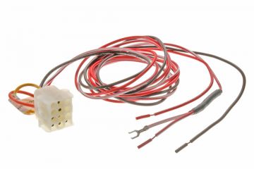 Rheem 45-101998-05 Wiring Harness - Economizer