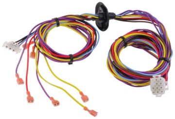 Rheem 45-102706-06 Wiring Harness