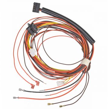 Rheem 45-102706-21 Wiring Harness