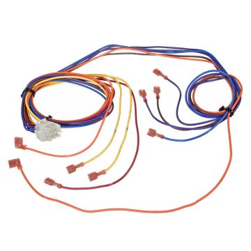 Rheem 45-105293-01 Wiring Assembly - Black