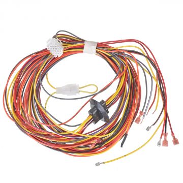 Rheem 45-42522-108 Wiring Harness