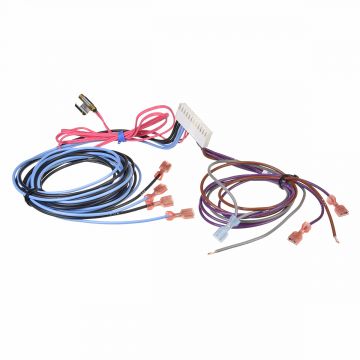 Rheem 45-42522-115 Wiring Harness