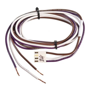 Rheem 45-42522-120 Wiring Harness