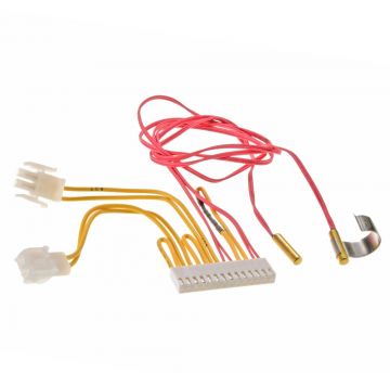 Rheem 45-42522-124 Wiring Harness