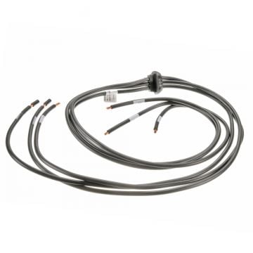 Rheem 45-42522-152 Wiring Harness