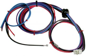 Rheem 45-42522-17 Wiring Harness