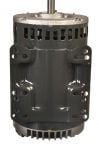 Rheem 51-42369-02 Blower Motor 1 1/2 HP 208-230-380-415-460/3 1725 RPM 1 Speed