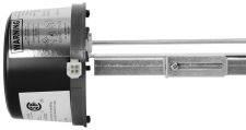 Rheem AP13145 Vent Hood Damper Assembly