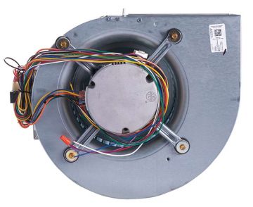 Rheem AS-101886-19 Blower Assembly