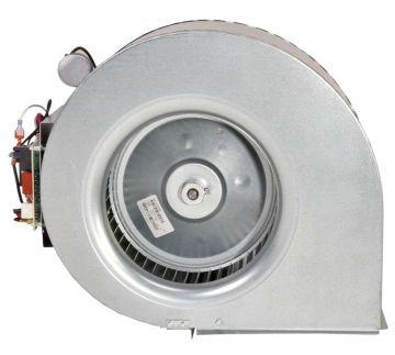 Rheem AS-101929-04 Blower Assembly