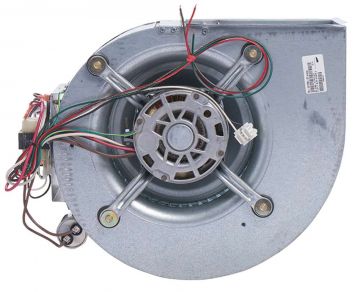 Rheem AS-101929-82 Blower Assembly