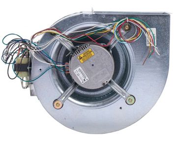 Rheem AS-101930-01 Blower Assembly