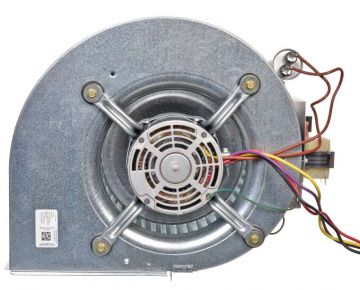 Rheem AS-101931-01 Blower Assembly