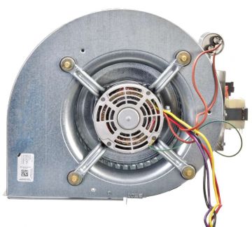 Rheem AS-101931-02 Blower Assembly