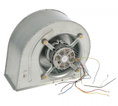 Supplies Depot: Rheem AS-104887-06 Blower Assembly