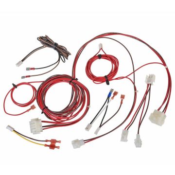 Rheem PD955596 Wiring Harness