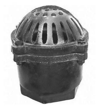 Simmons 473 2 inch Cast Iron Foot Valve