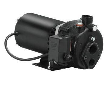 Wayne CWS100 1 HP Convertible Well Pump 120/240V